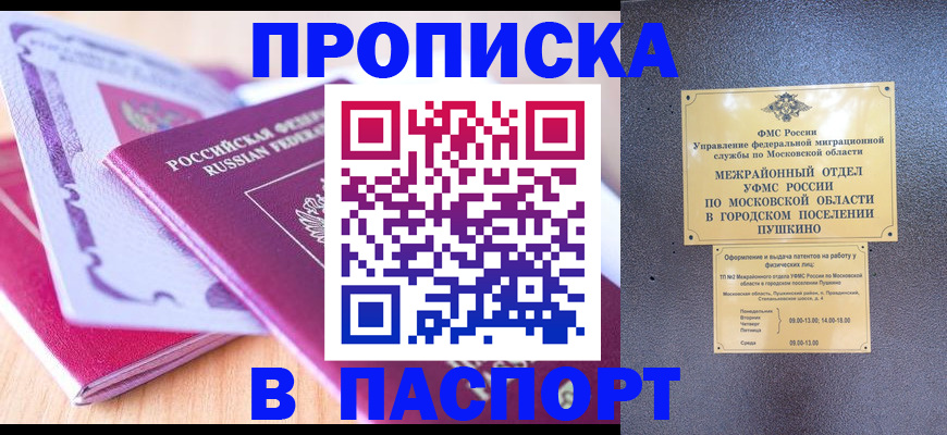 прописка законно в Завитинске